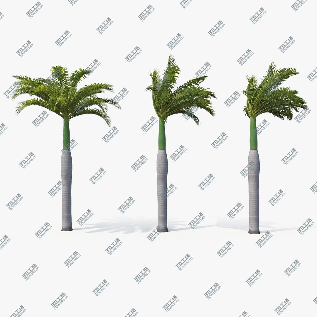 images/goods_img/2021040162/3D Palms Royal 01 model/1.jpg